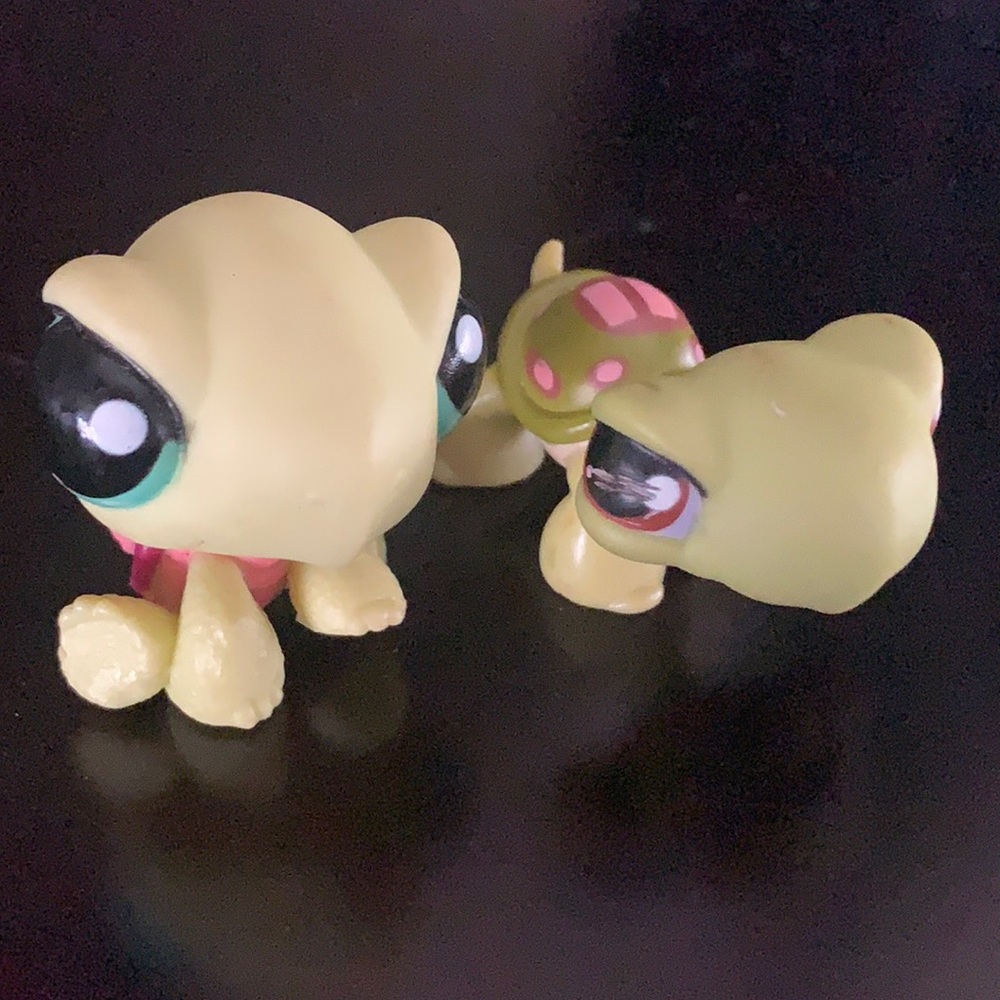 GIRL TURTLE BUNDLE🐢✨